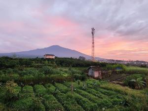 Vila Keluarga 3 Kamar dengan Kolam Air Panas Dekat Jatim Park 4 Baloga