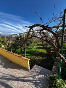 Casa Gli Allori img23