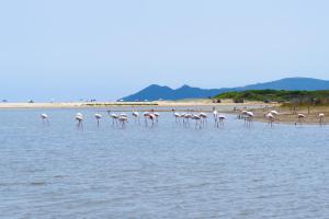 Valtur Sardegna Eos Costa Rei