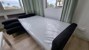 Anemone Apartment 107