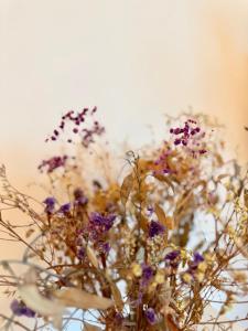 Le Gall, Centre ville de Rennes avec loggia