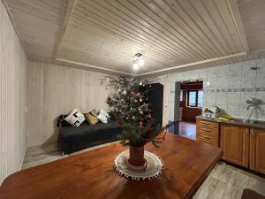 У Тараса і Лесі