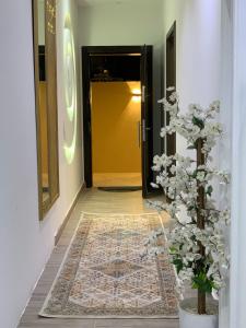 المدينة المنورة