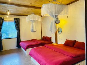 Nhà Dâu Homestay