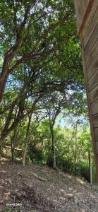 Casa Vista para lagoa