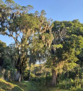 Casa Vista para lagoa