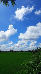 Pai room ห้องพักปาย