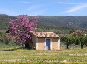 Maison dans les vignes