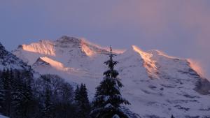 Sunny & Bright Swiss Apartment with Jungfrau View