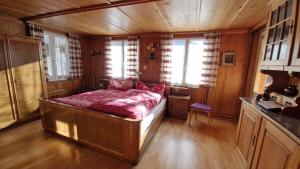 Sunny & Bright Swiss Apartment with Jungfrau View