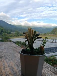 จรรยา โฮมเสตย์