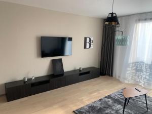 Beautiful Luxury 2 Bedroom Apartment - Timisoara City Center