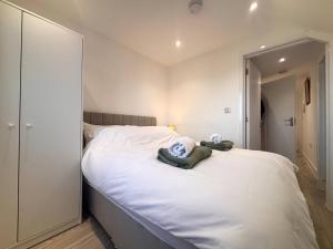 Bright Stylish 2-Bedroom City Flat Cowley Oxford