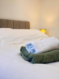 Bright Stylish 2-Bedroom City Flat Cowley Oxford