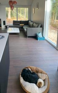 Nordic Summer House In Ålbæk With Spa And Sauna