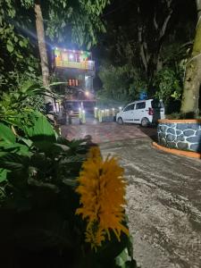 Cardamom valley Home stay