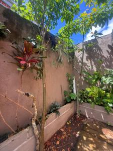 Private Room Near Ubud Monkey Forest and Tegenungan Waterfall