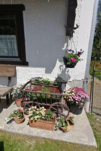 Apartment Riedbach in Mutters by Interhome