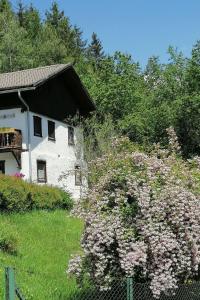 Apartment Riedbach in Mutters by Interhome