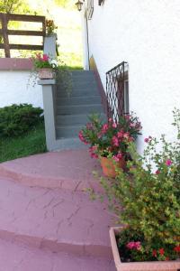 Holiday Home in ruhiger Lage am Waldrand by Interhome