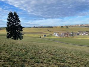 GreenHolidays
