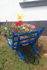 Apartment Gemütliche Ferienwohnung mit toller Aussicht by Interhome