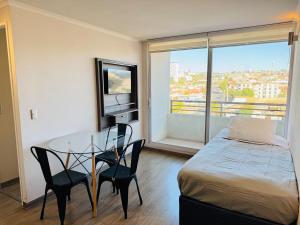 Cerro Los Placeres, Valparaíso