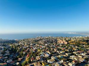 Cerro Los Placeres, Valparaíso