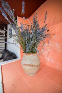 Apartment Wohnung Franko in Veli Losinj by Interhome