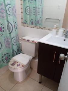 Departamento en arriendo diario