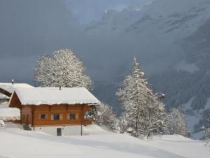 Apartment Chalet Bärgbächli by Interhome