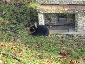 Apartment Rehalp Westen by Interhome