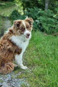 Apartment Bio-Hof Brudersrüti by Interhome