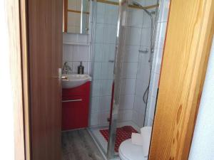 Apartment Ein-Zimmer-Wohnung Claudia in San Bernardino im Zentrum by Interhome