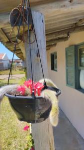 Casa Pink House Beach and Laser