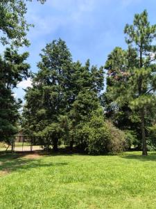 Quinta con pileta y quincho