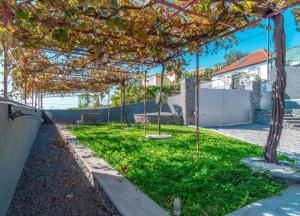 Camara De Lobos Lux Villa