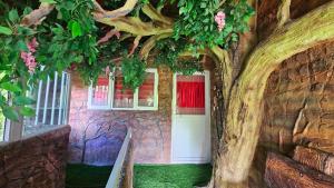 S & B Dreams House