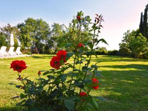 Holiday Home mit Privatpool für 6 Personen ca- 165 m² in Kosinozici- Istrien - Porec und by Interhome