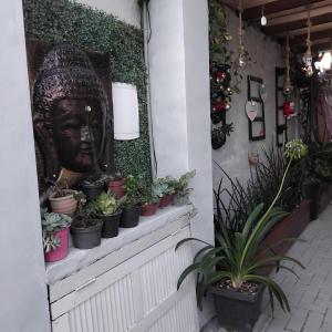 Rosa dos ventos suíte 2