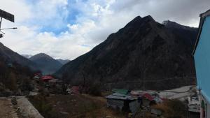 Back 2 Nature Homestay