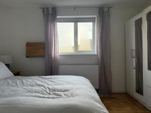 Entire House with Garden and Office