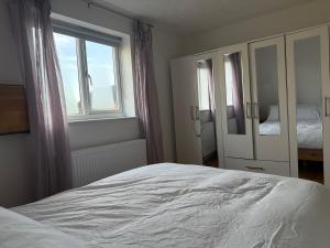 Entire House with Garden and Office