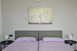 The Duomo Collection