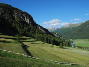 Apartment Arnica 3 by Interhome