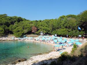 Apartment Schöne Wohnung in Veli Losinj by Interhome