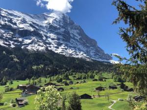 Holiday Home Chalet Gletscherfloh by Interhome