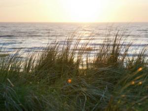 Holiday Home Gemütlicher Bungalow für 4 Personen by Interhome