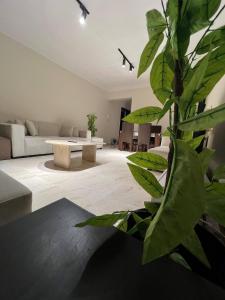 ابراج الصفا ان مدينه نصر