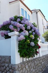 Apartment Wohnung in Mali Lošinj by Interhome